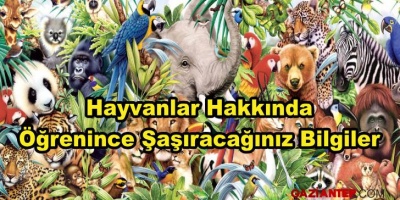 Özellikleri Bilinmeyen Hayvanlar