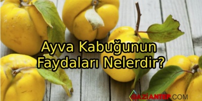 Ayva Kabuğunun Faydaları Nelerdir?