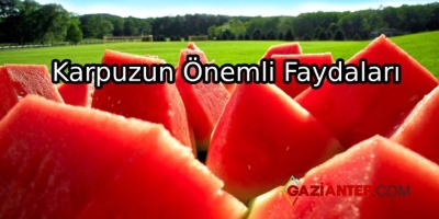 Sıcak Havaların Vazgeçilmezi Olan Karpuzun Faydaları