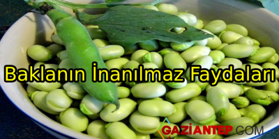 Bakla Nedir? Baklanın Faydaları Nelerdir?