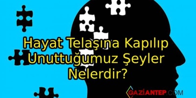Hayat Telaşına Kapılıp Unuttuğumuz Şeyler