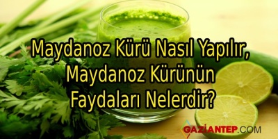 Maydanoz Kürü Nasıl Yapılır, Maydanoz Kürünün Faydaları Nelerdir?