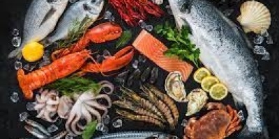 Deniz Ürünleri eğitimleri 