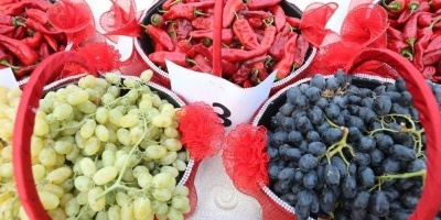 İslahiye Üzüm, Biber ve Kültür Festivali