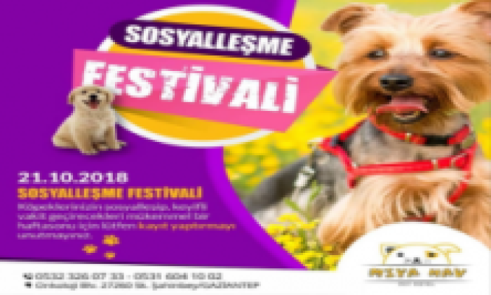 Gaziantep Sosyalleşme Festivali