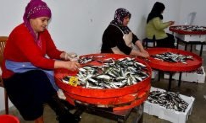 Balıkhane ihtiyaç sahibi kadınlara ekmek kapısı oldu