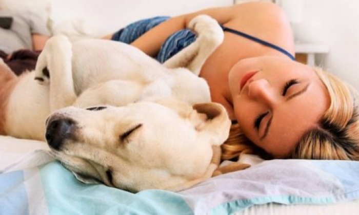 Köpeklerle Uyumak Erkeklerle Uyumaktan Daha İyi