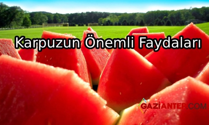 Sıcak Havaların Vazgeçilmezi Olan Karpuzun Faydaları