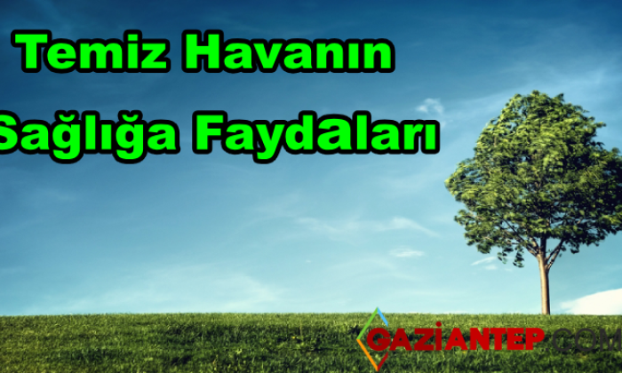 Temiz Hava Solumanın İnsan Sağlığına Faydaları