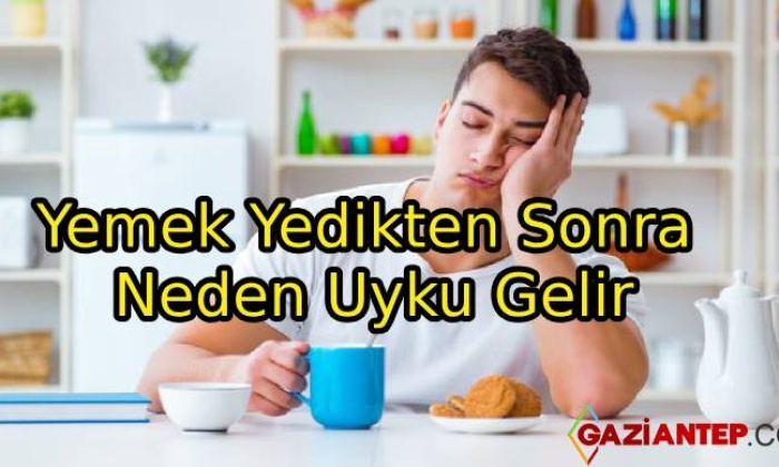 Yemek Yedikten Sonra Neden Uyku Gelir
