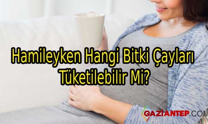 Hamileyken Hangi Bitki Çayları Tüketilebilir Mi?