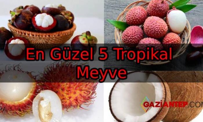 En Güzel 5 Tropikal Meyve
