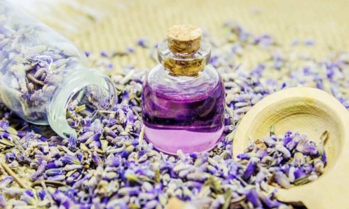 Lavanta Kürü Saç Sivilce Karaciğer Yağlanması