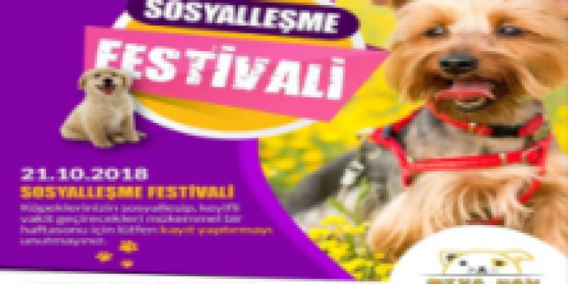Gaziantep Sosyalleşme Festivali