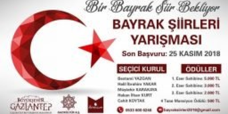 Bir Bayrak Şiir Bekliyor