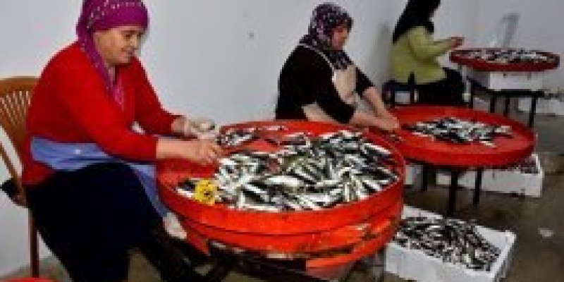 Balıkhane ihtiyaç sahibi kadınlara ekmek kapısı oldu