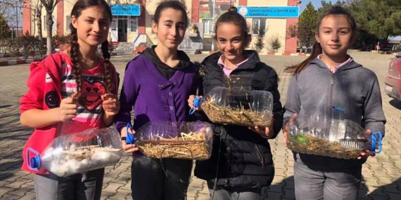 Kuşlar artık ‘merhamet yuvalarında’ üşümeyecek