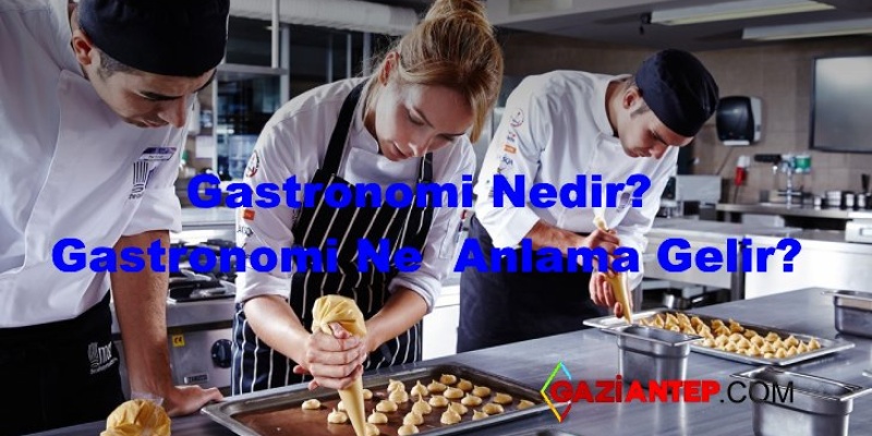 Gastronomi Nedir? Gastronomi Tarihi