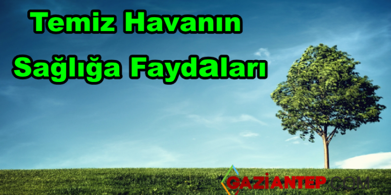 Temiz Havanın Faydaları