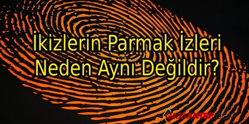 İkizlerin Parmak İzleri Neden Aynı Değildir?
