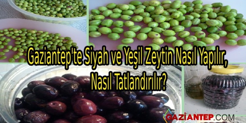 Gaziantep’te Siyah ve Yeşil Zeytin Nasıl Yapılır, Nasıl Tatlandırılır?