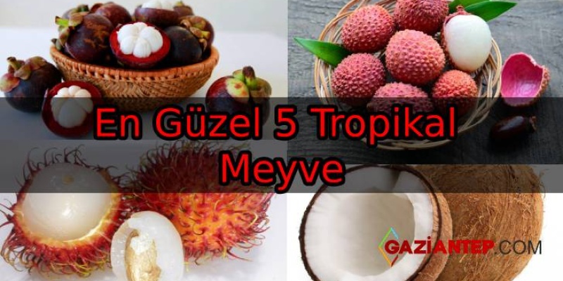 En Güzel 5 Tropikal Meyve