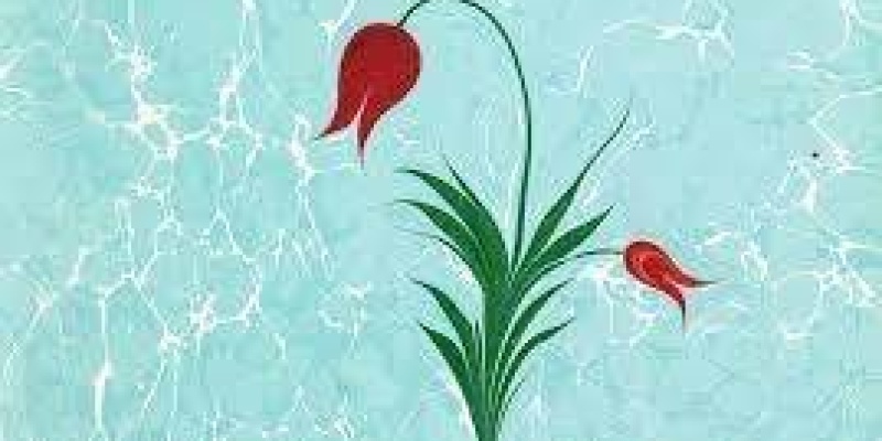 Gaziantep Ücretsiz Ebru Kurs