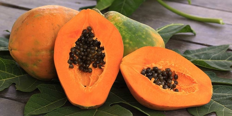 Papaya ve Faydaları