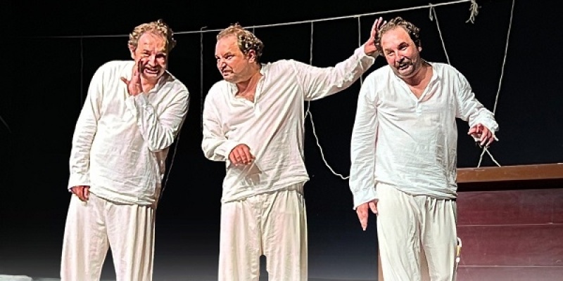 Bir Delinin Hatıra Defteri tiyatroları