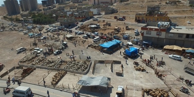 Gaziantep Kurbanlık Pazarı