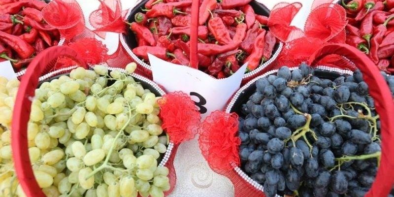 İslahiye Üzüm, Biber ve Kültür Festivali